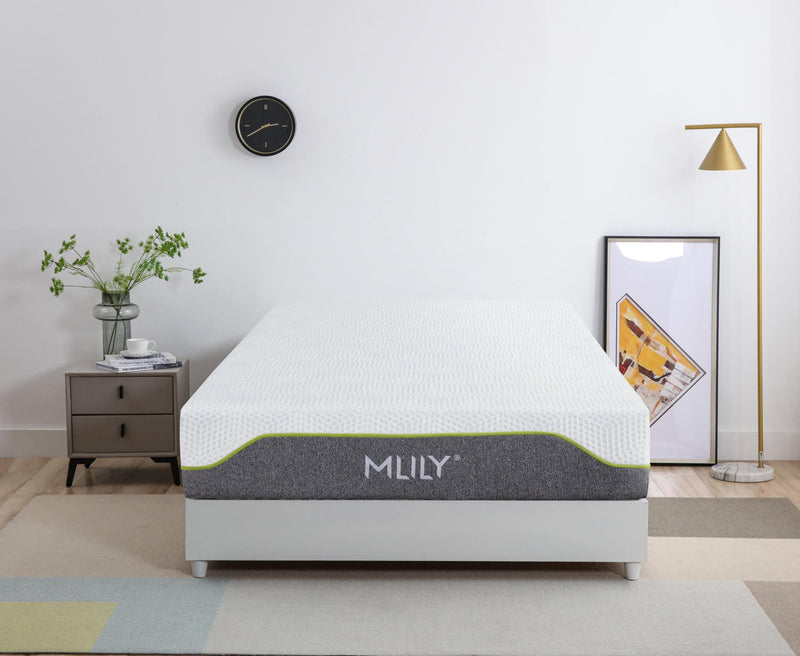 Comfort For All offers MLILY Altair Memory Foam Plush Mattress at best price