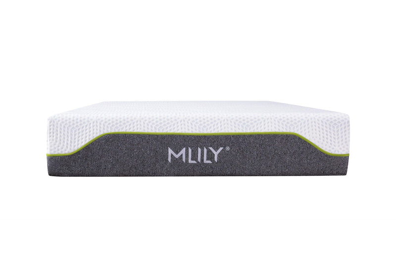 Comfort For All offers MLILY Altair Memory Foam Plush Mattress at best price