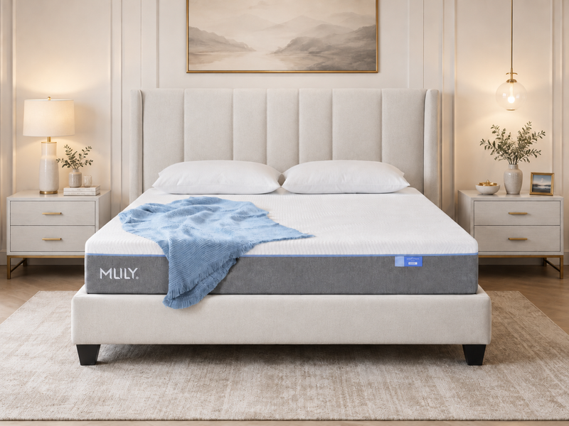MLILY Polar Wave Memory Foam Mattress | Comfort For All