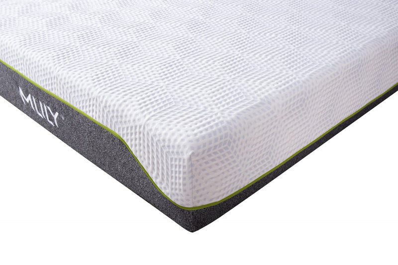 Comfort For All offers MLILY Altair Memory Foam Plush Mattress at best price