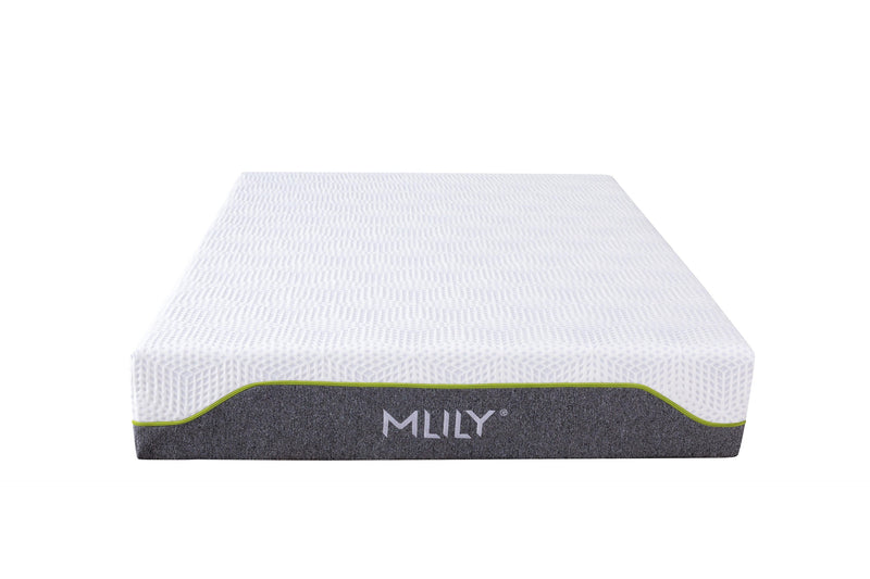 Comfort For All offers MLILY Altair Memory Foam Plush Mattress at best price